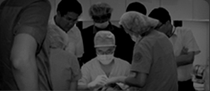 줄기세포 탈모치료